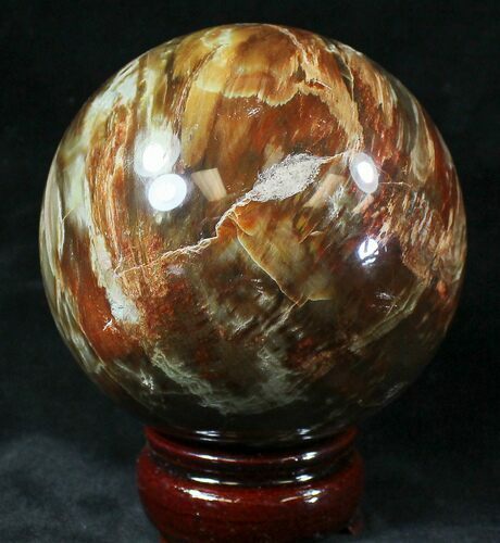 Colorful Petrified Wood Sphere #20642